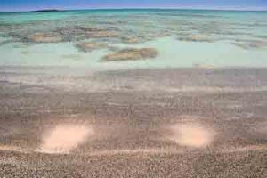 creta_38